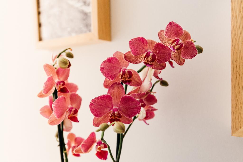 Bed and Breakfast Adriano Augusto Рим Номер фото