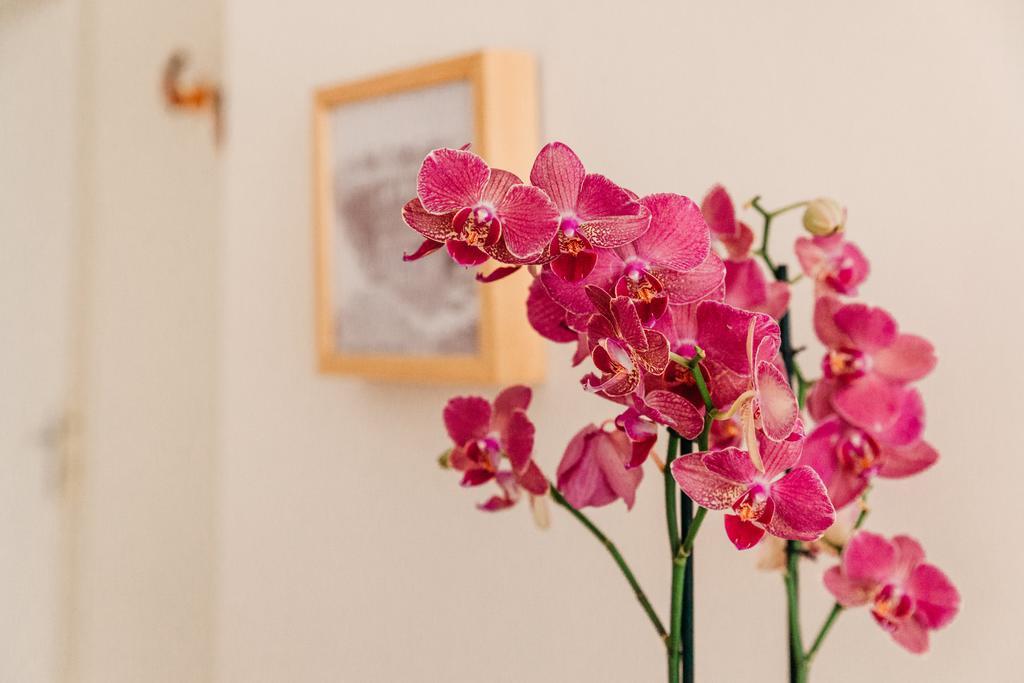 Bed and Breakfast Adriano Augusto Рим Номер фото